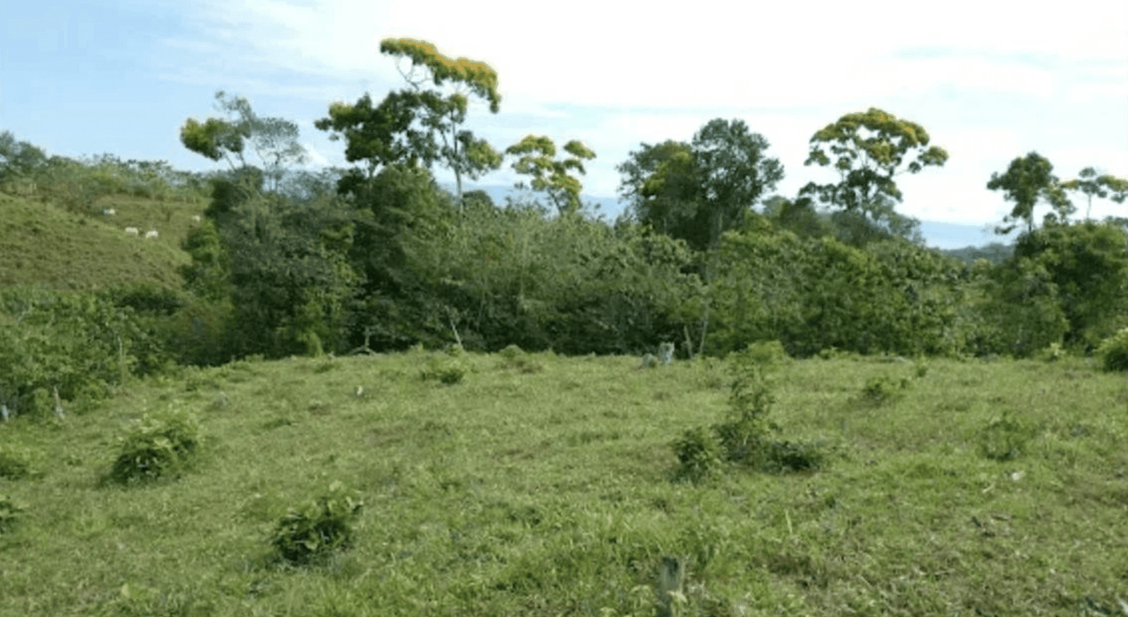 Screenshot 2024-06-17 at 11.59.11-min