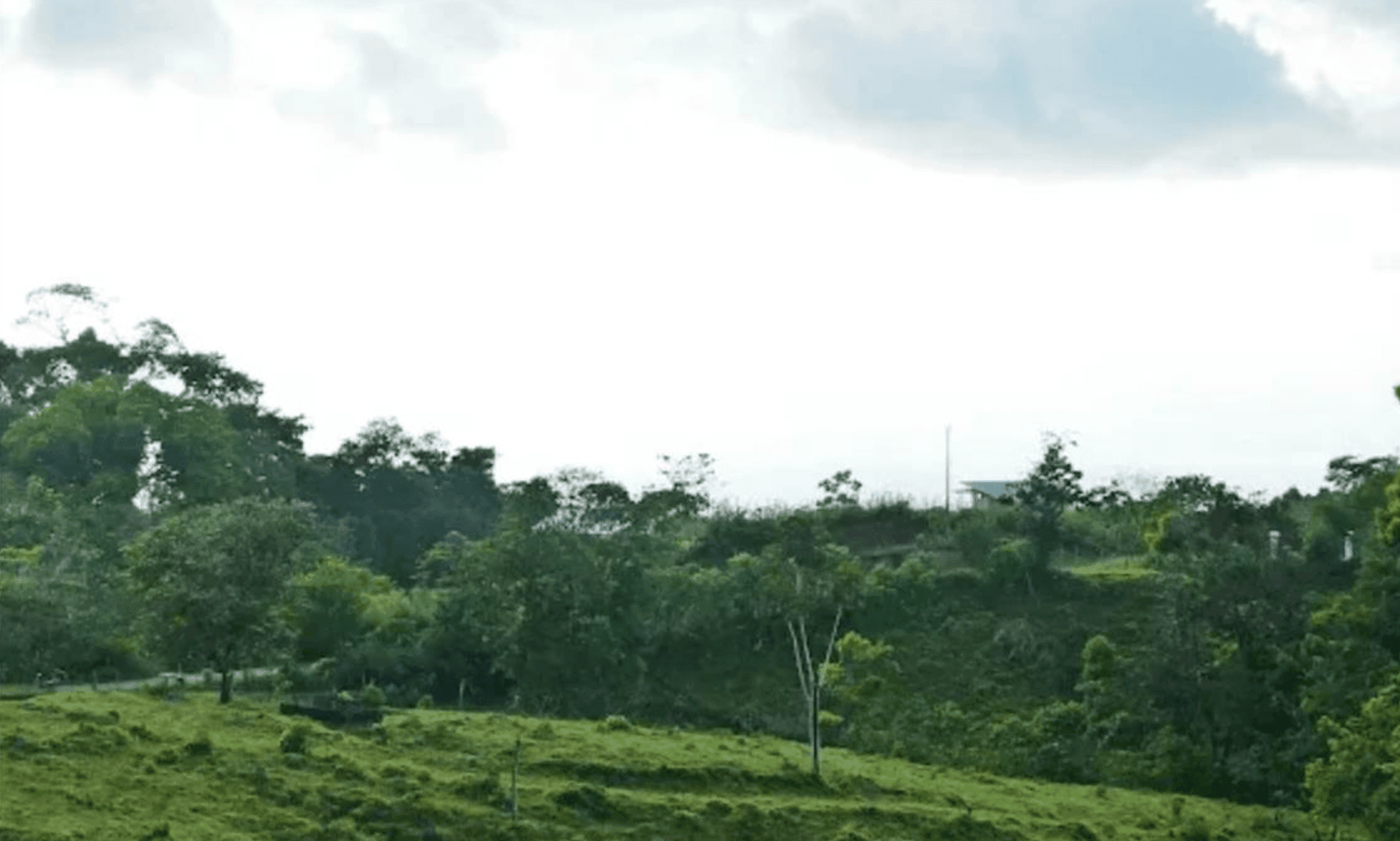 Screenshot 2024-06-17 at 11.59.19-min