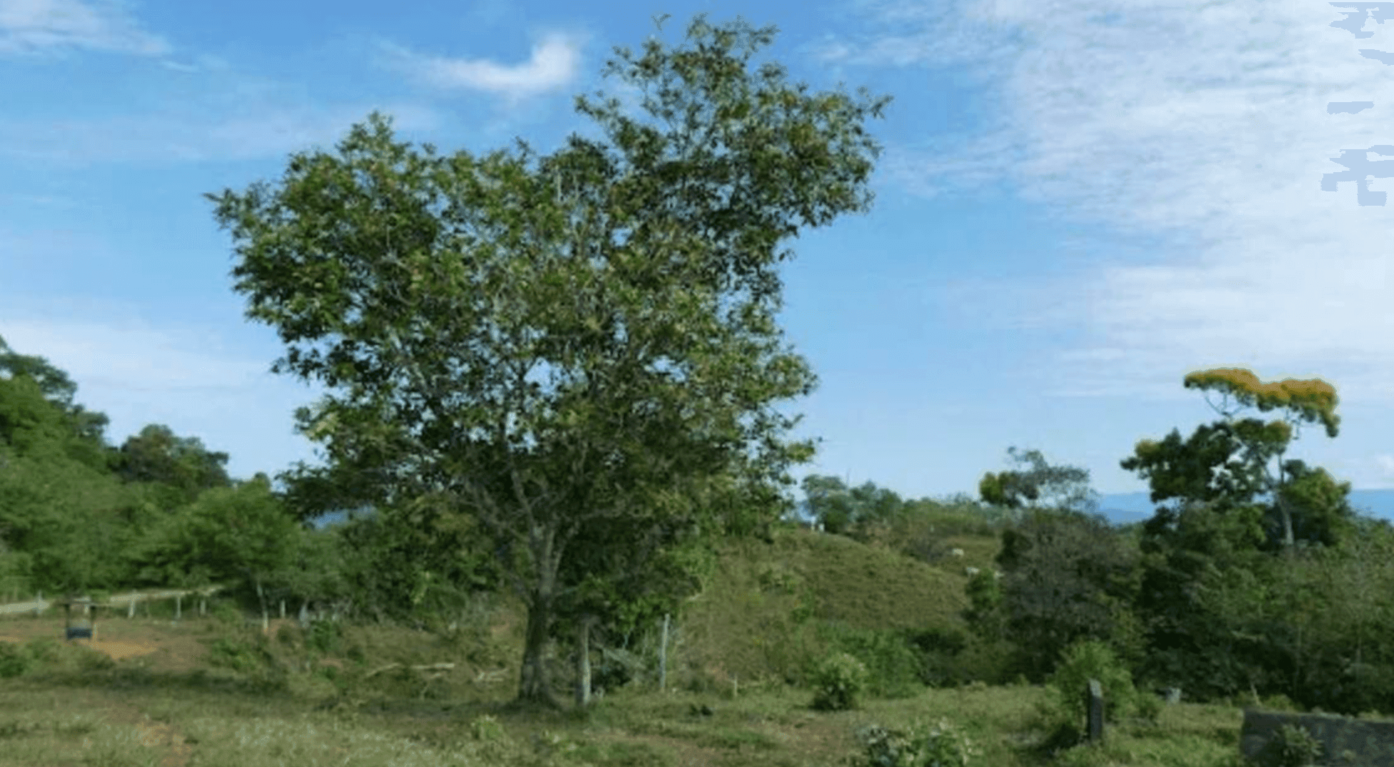 Screenshot 2024-06-17 at 11.59.26-min