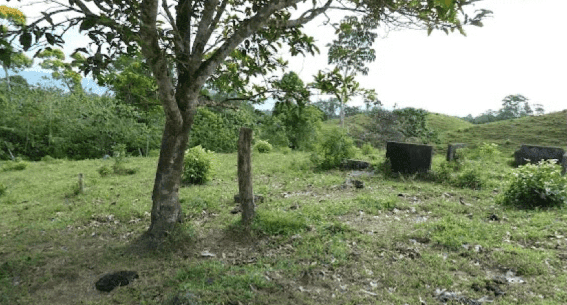 Screenshot 2024-06-17 at 11.59.41-min