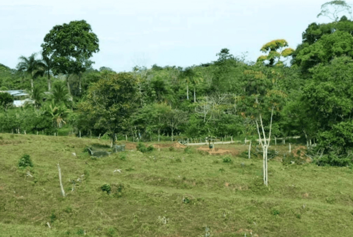 Screenshot 2024-06-17 at 11.59.48-min