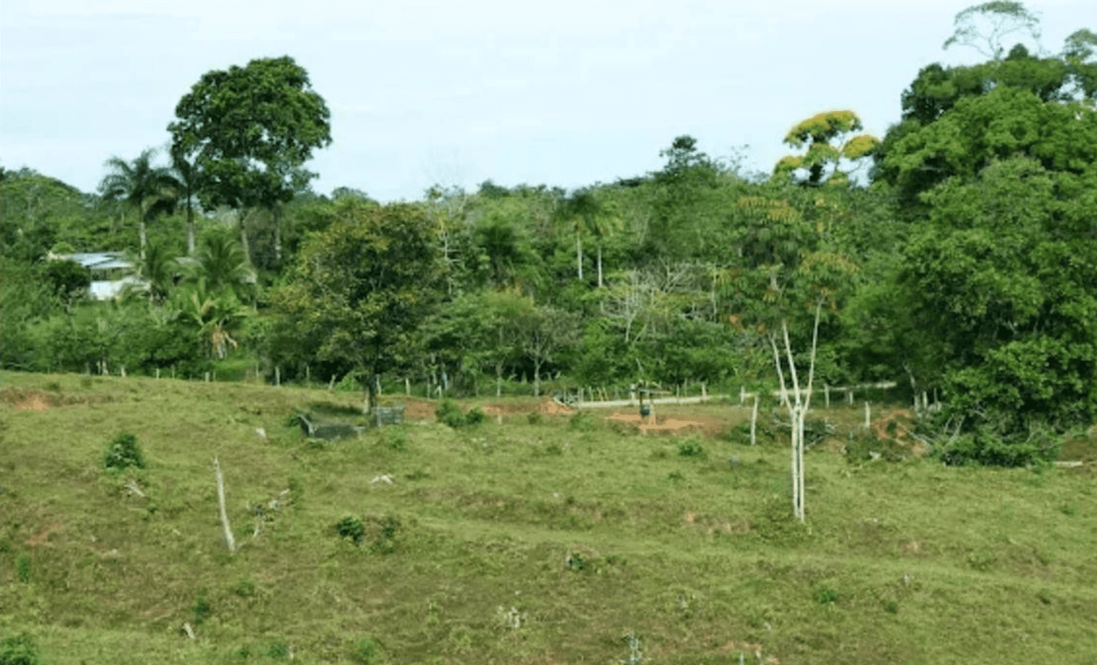 Screenshot 2024-06-17 at 11.59.48-min