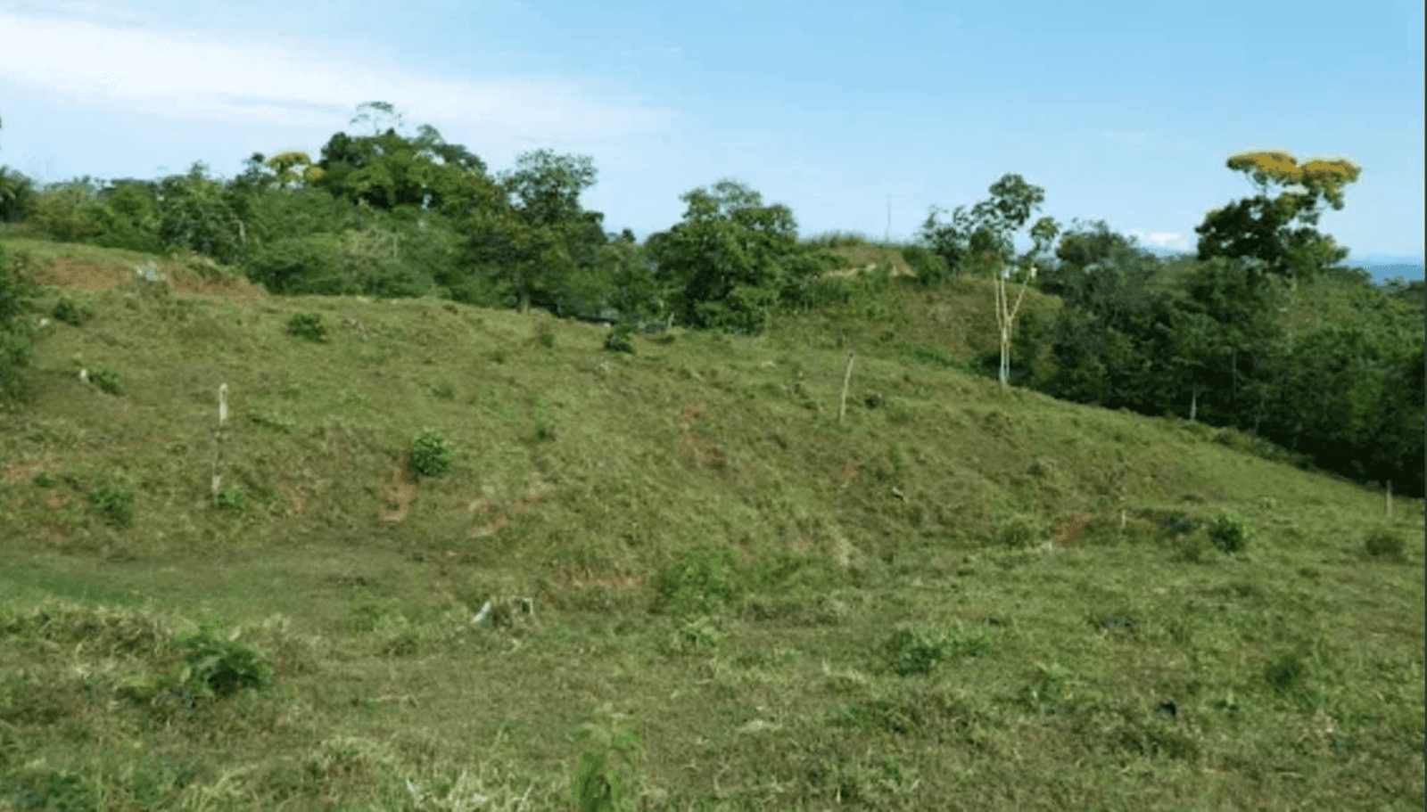 Screenshot 2024-06-17 at 11.59.54-min