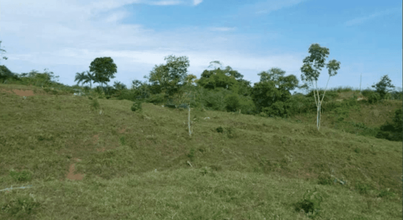 Screenshot 2024-06-17 at 12.00.02-min