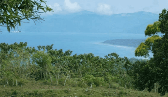 Screenshot 2024-06-17 at 9.00.26-min