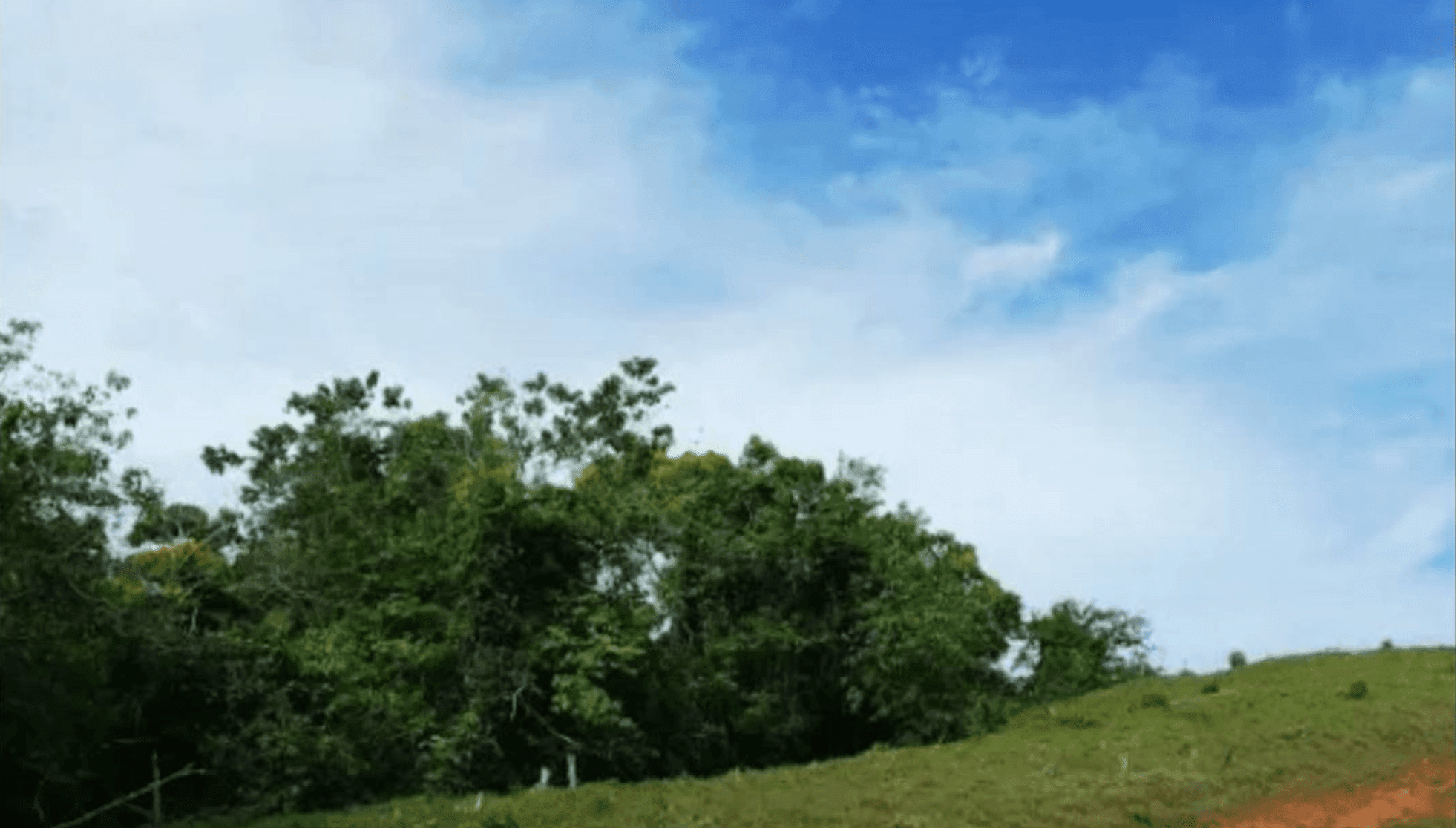 Screenshot 2024-06-17 at 9.00.35-min