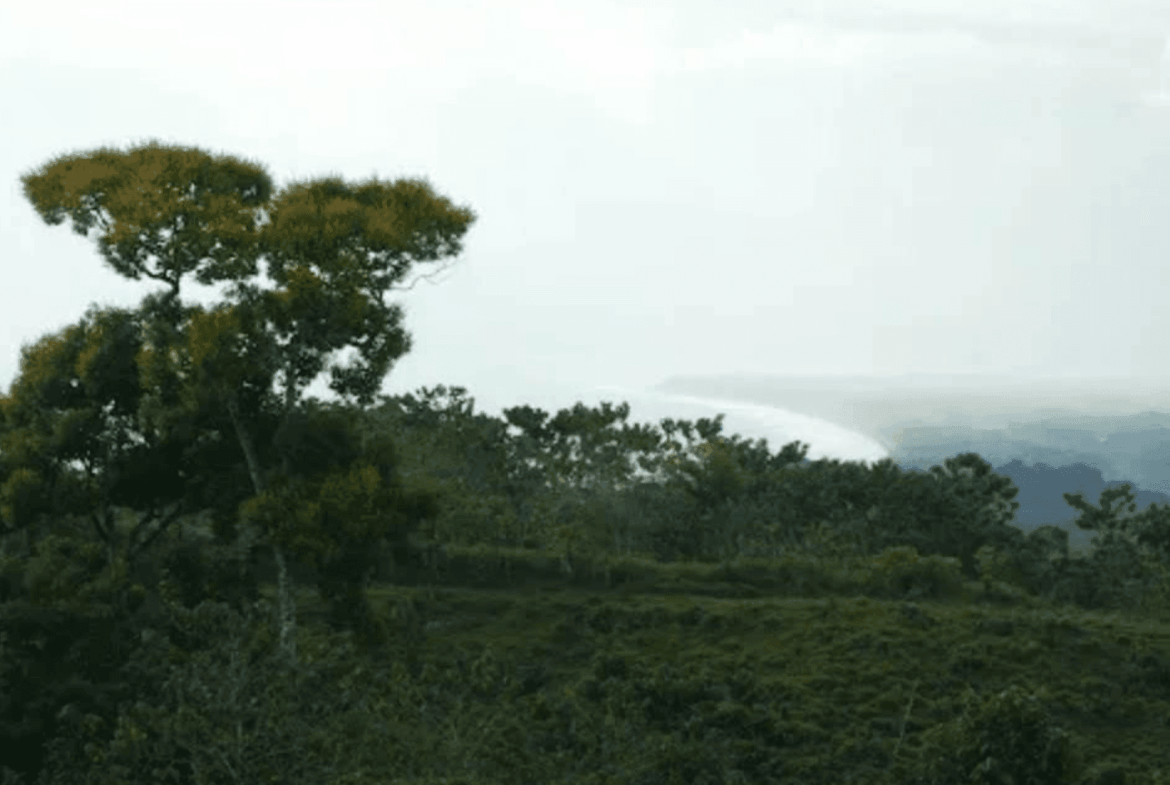 Screenshot 2024-06-17 at 9.00.51-min