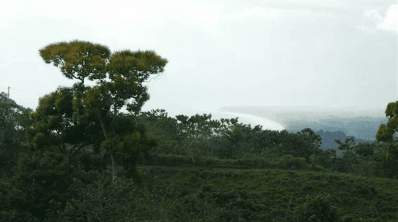 Screenshot 2024-06-17 at 9.00.51-min