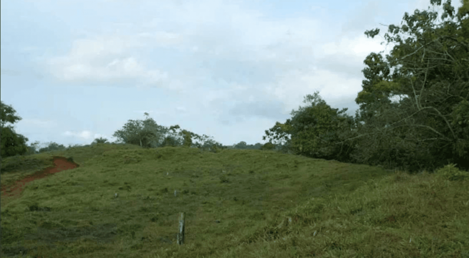 Screenshot 2024-06-17 at 9.01.01-min