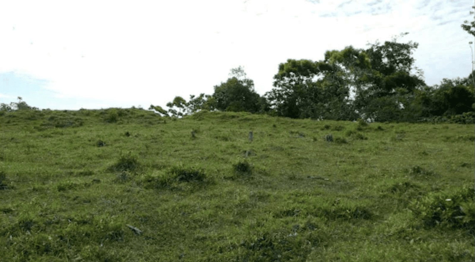 Screenshot 2024-06-17 at 9.01.07-min