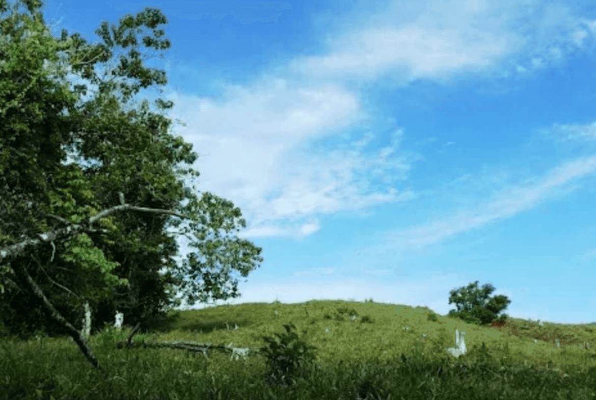 Screenshot 2024-06-17 at 9.01.15-min