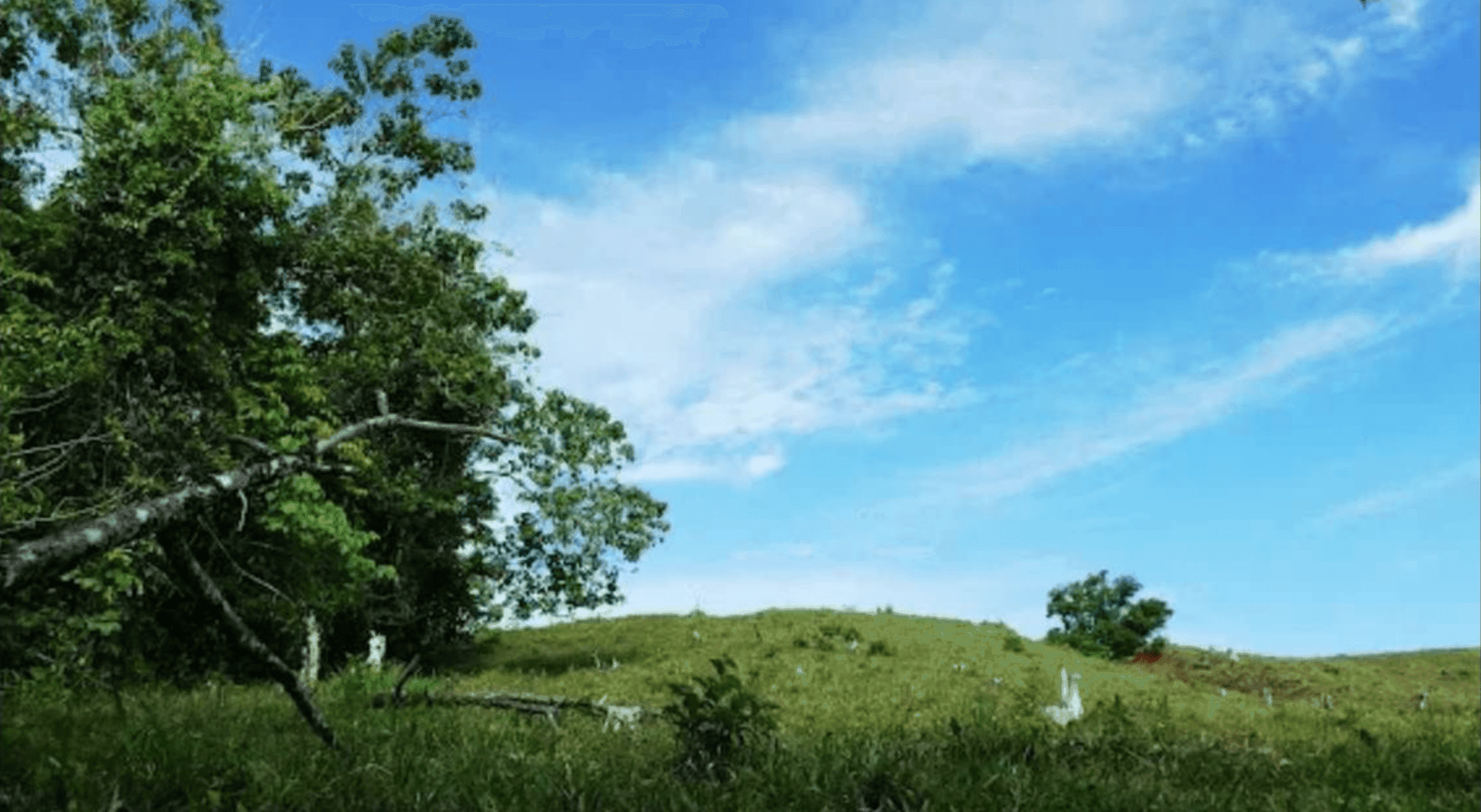 Screenshot 2024-06-17 at 9.01.15-min