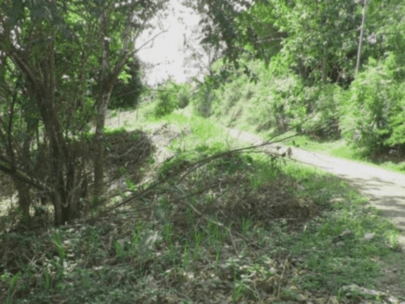 Screenshot 2024-06-17 at 9.08.28-min