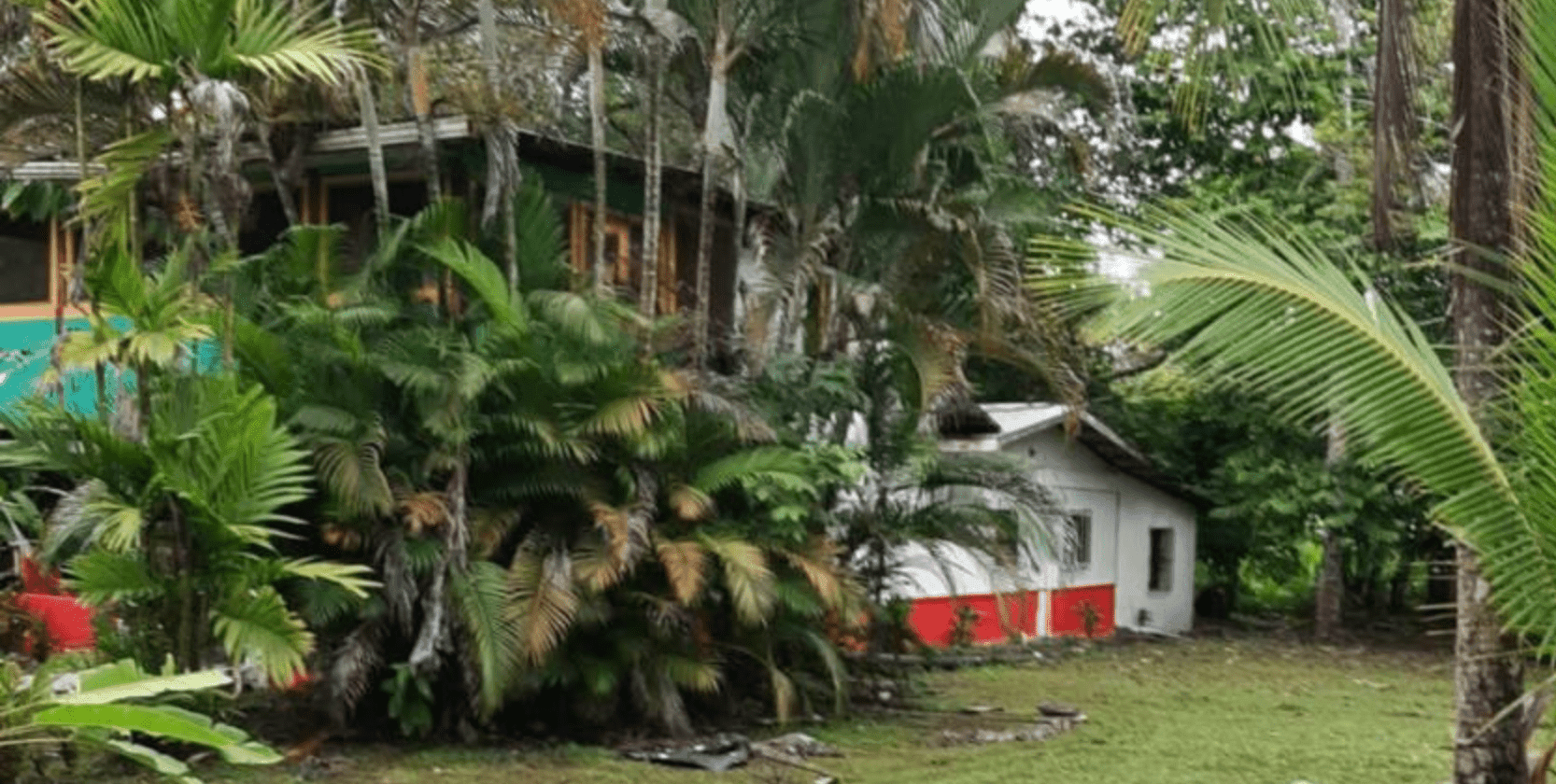 Screenshot 2024-06-17 at 9.20.37-min