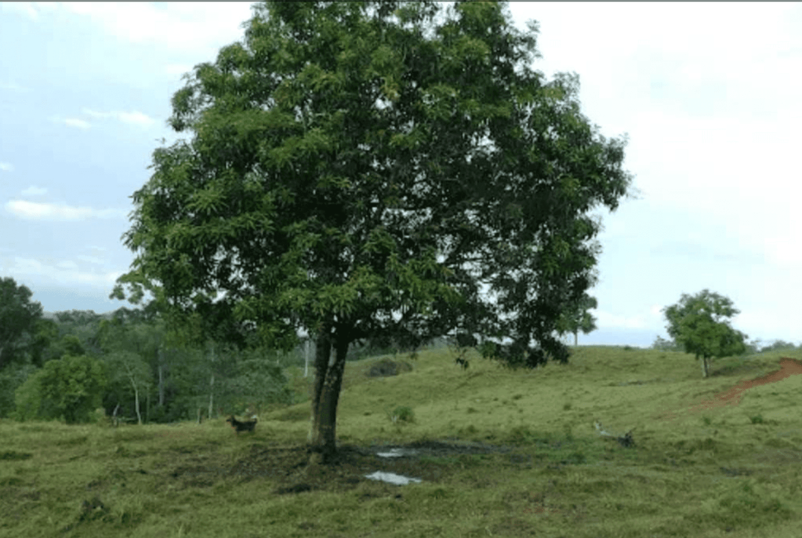 Screenshot 2024-06-17 at 9.38.42-min