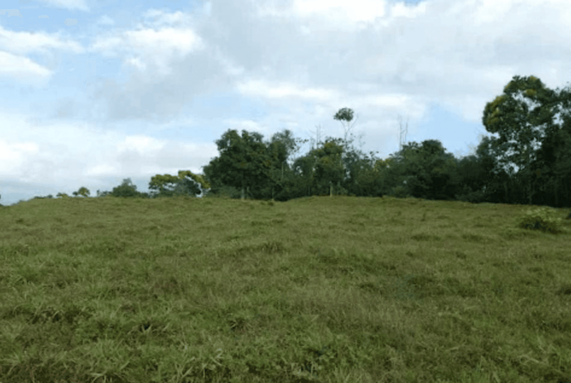 Screenshot 2024-06-17 at 9.38.50-min