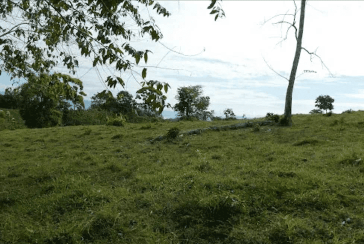 Screenshot 2024-06-17 at 9.39.06-min