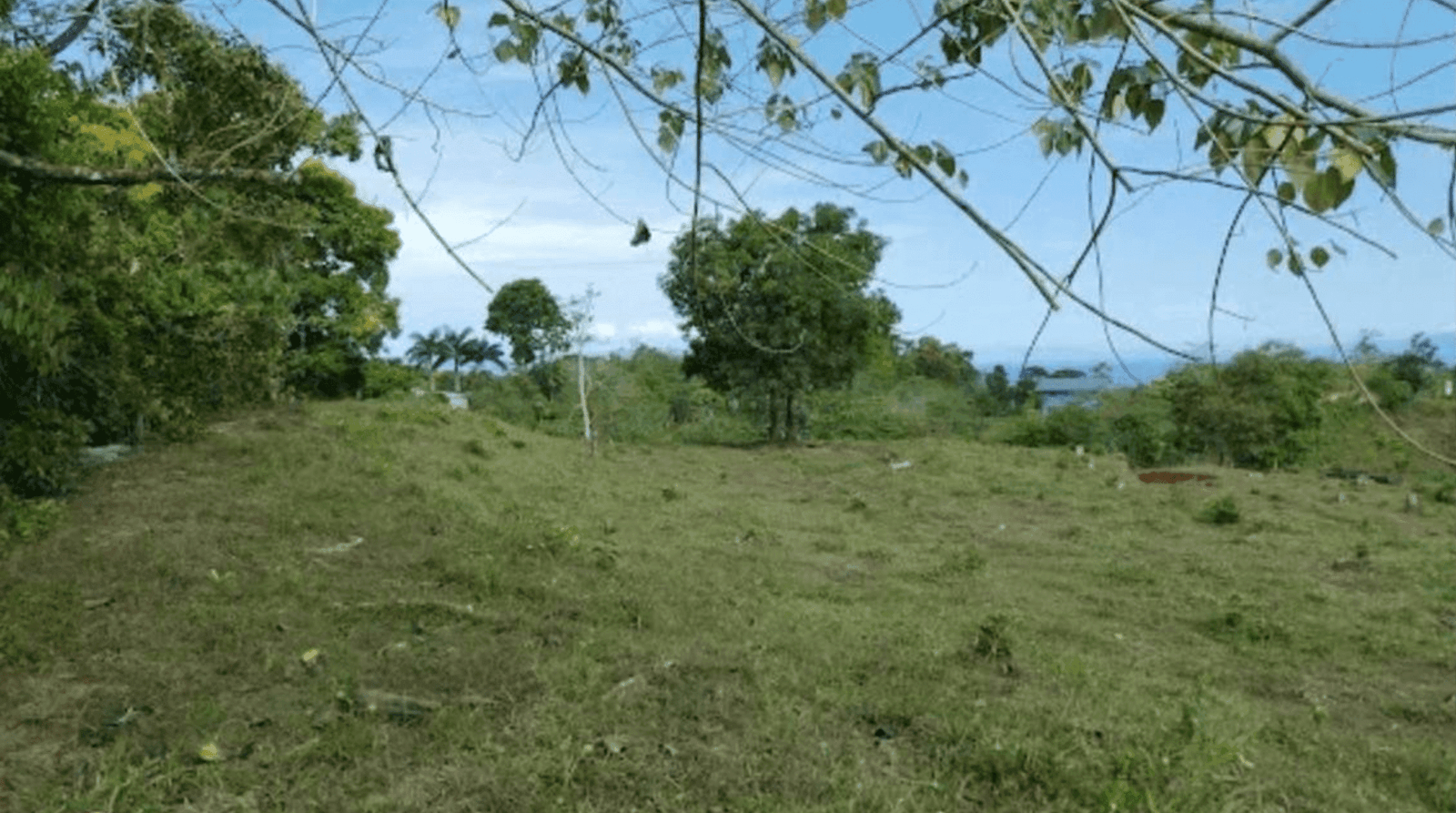 Screenshot 2024-06-17 at 9.39.14-min