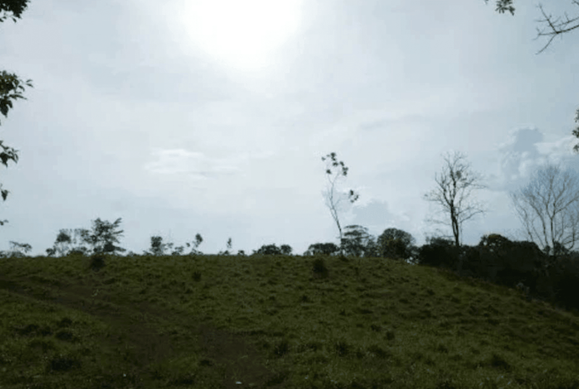 Screenshot 2024-06-17 at 9.45.32-min