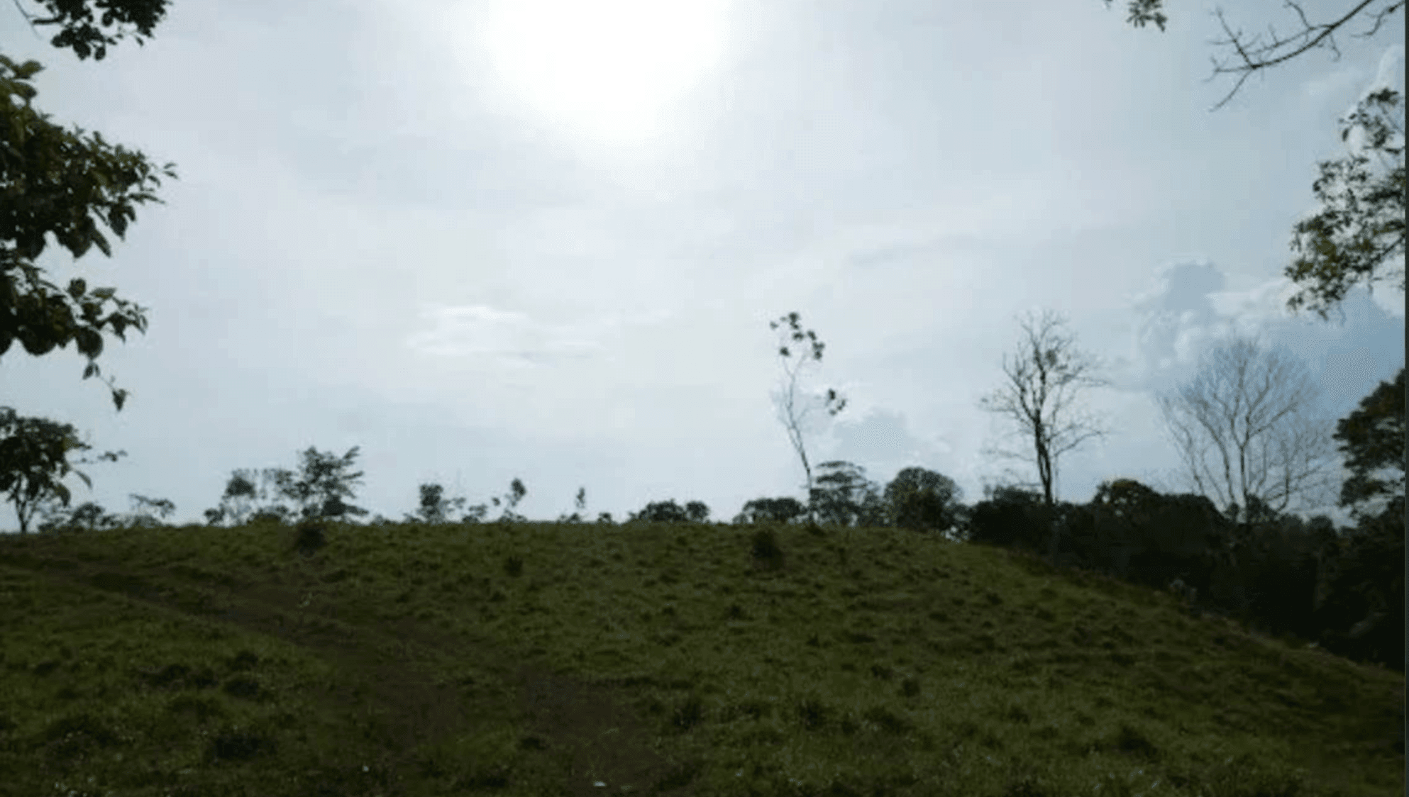 Screenshot 2024-06-17 at 9.45.32-min