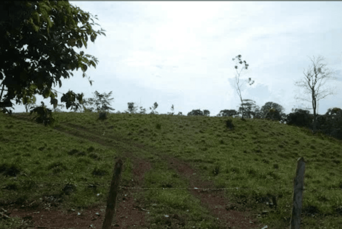 Screenshot 2024-06-17 at 9.45.40-min