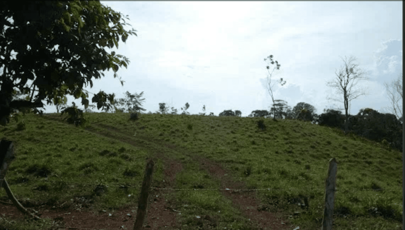 Screenshot 2024-06-17 at 9.45.40-min