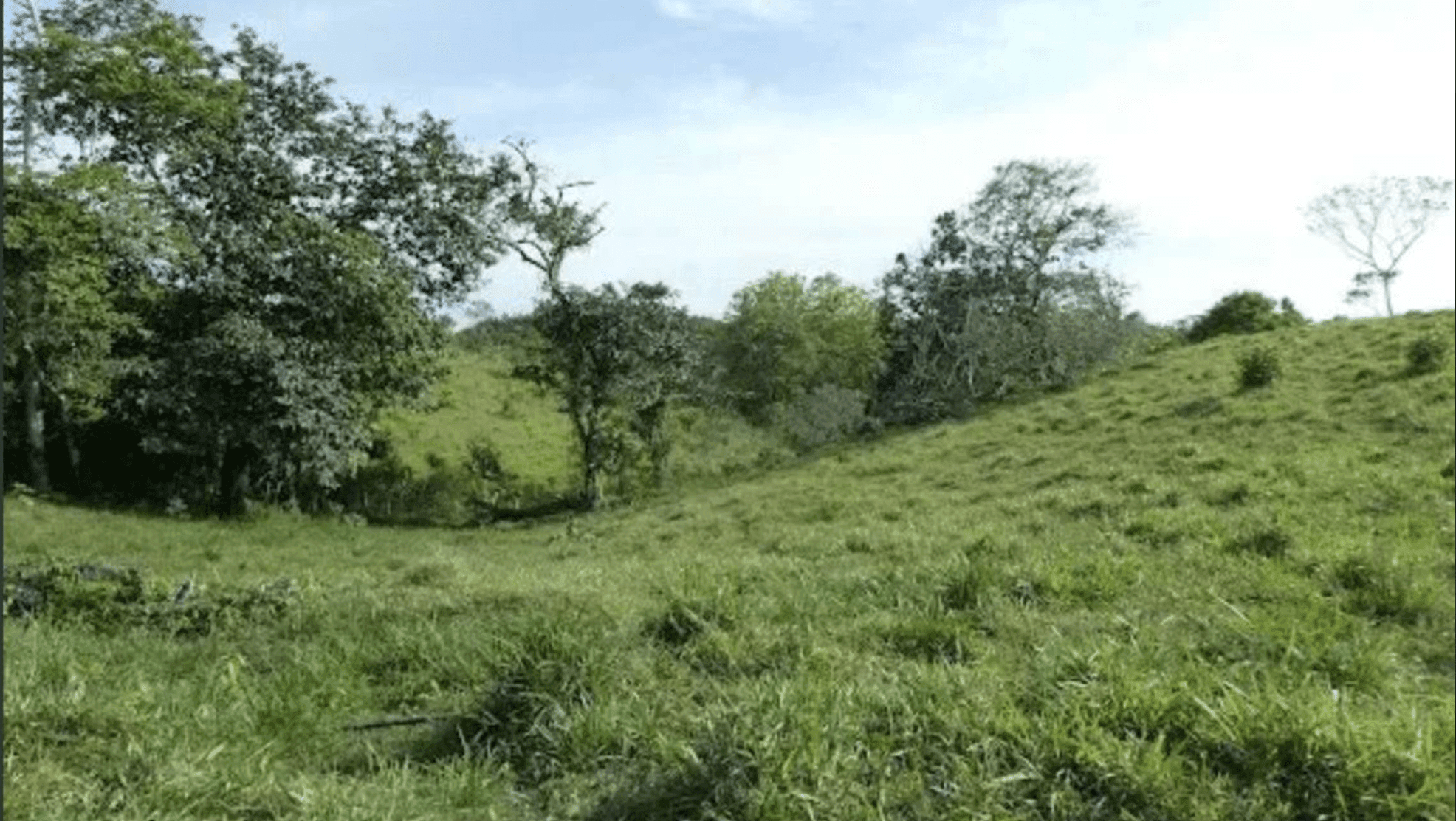 Screenshot 2024-06-17 at 9.45.53-min