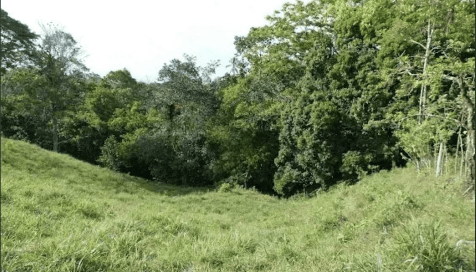 Screenshot 2024-06-17 at 9.46.07-min