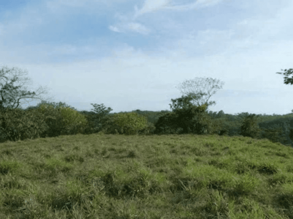 Screenshot 2024-06-17 at 9.46.14-min