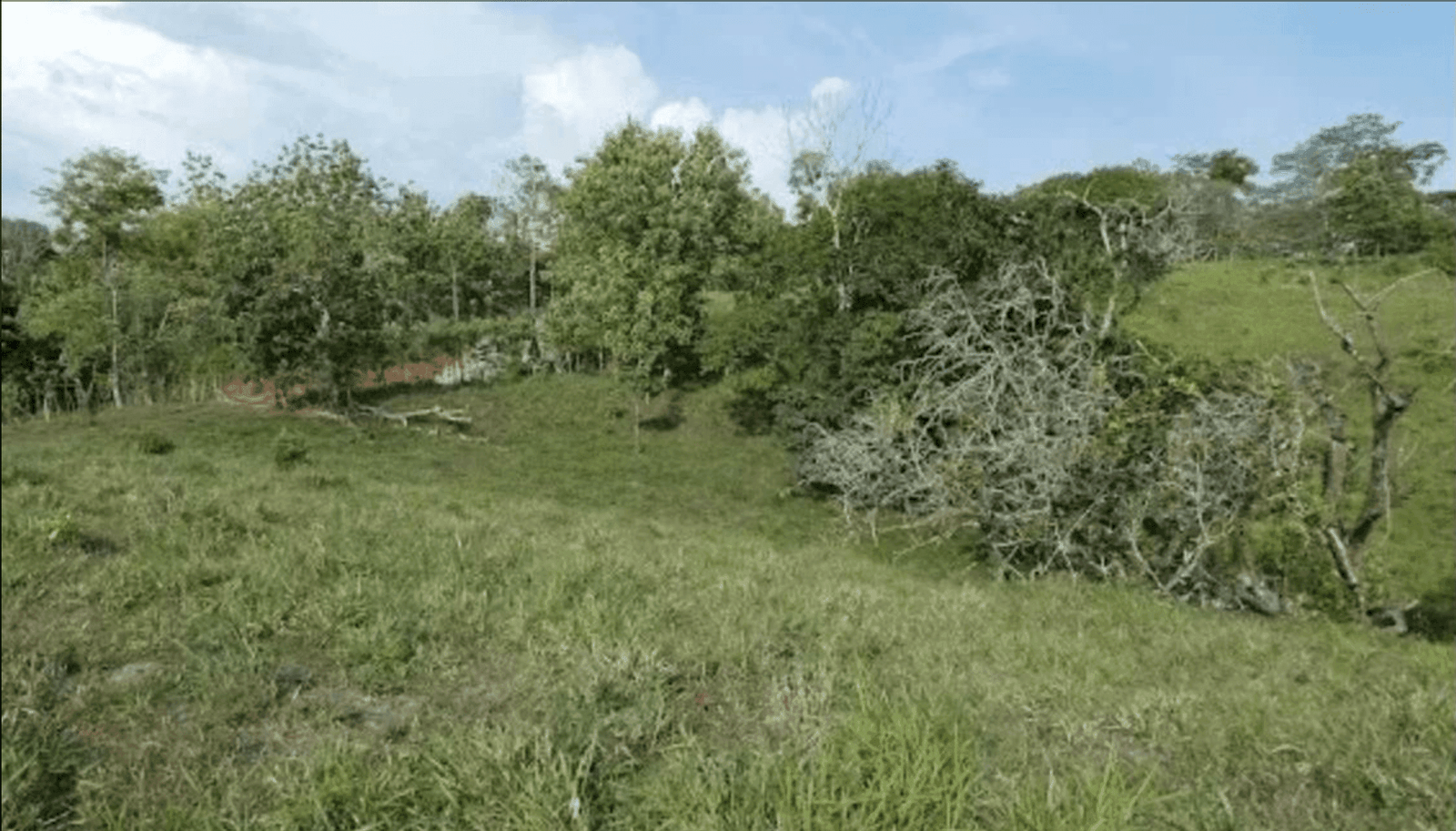 Screenshot 2024-06-17 at 9.46.21-min