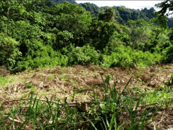 Screenshot 2024-06-17 at 9.53.39-min