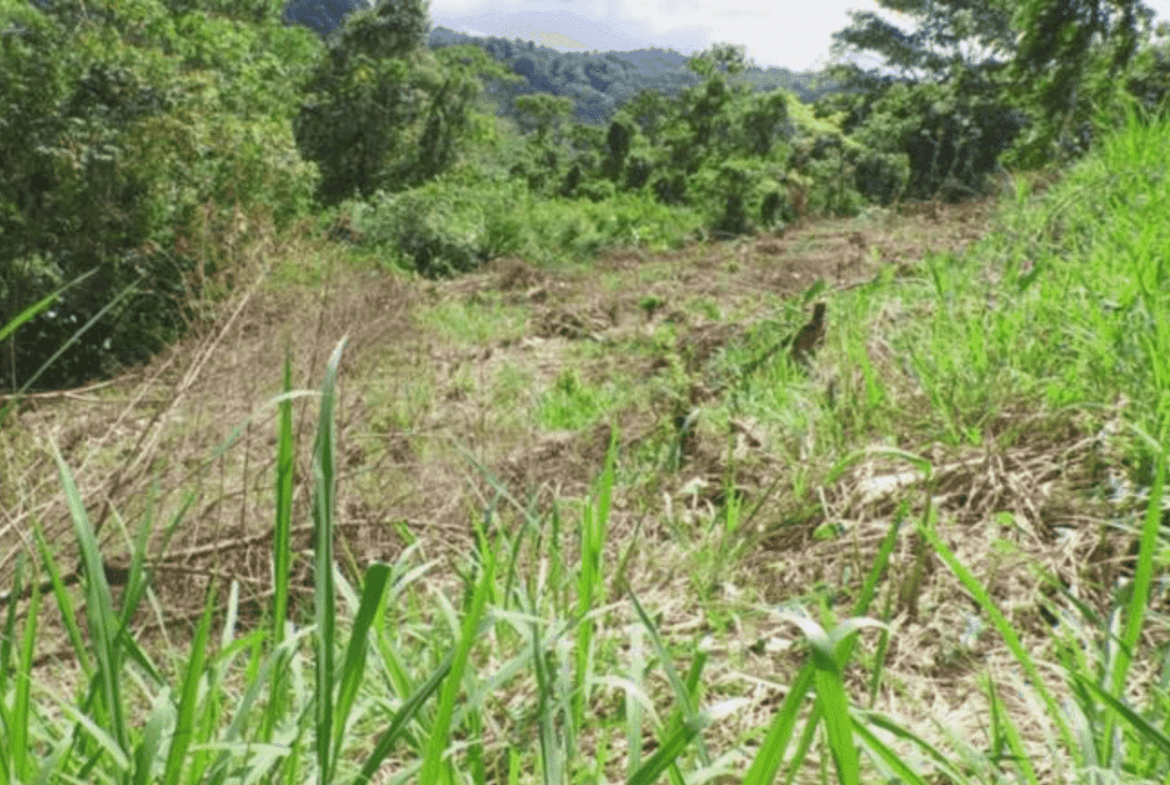 Screenshot 2024-06-17 at 9.53.53-min