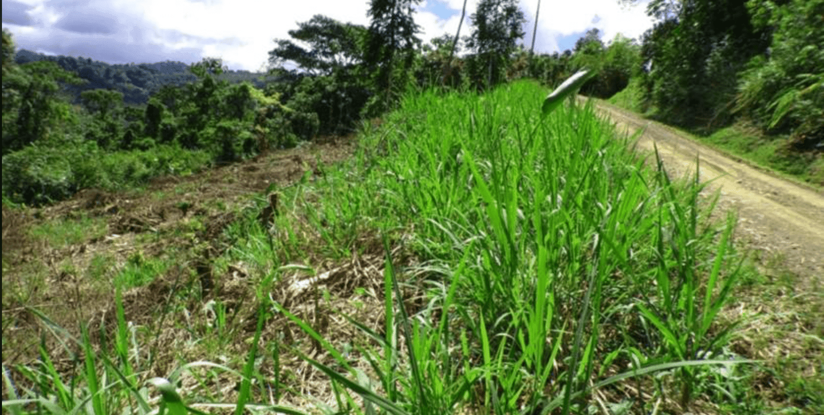 Screenshot 2024-06-17 at 9.54.06-min