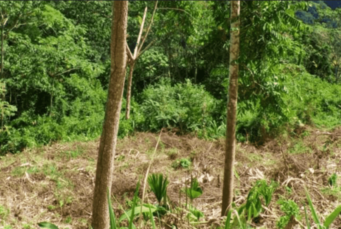 Screenshot 2024-06-17 at 9.54.12-min