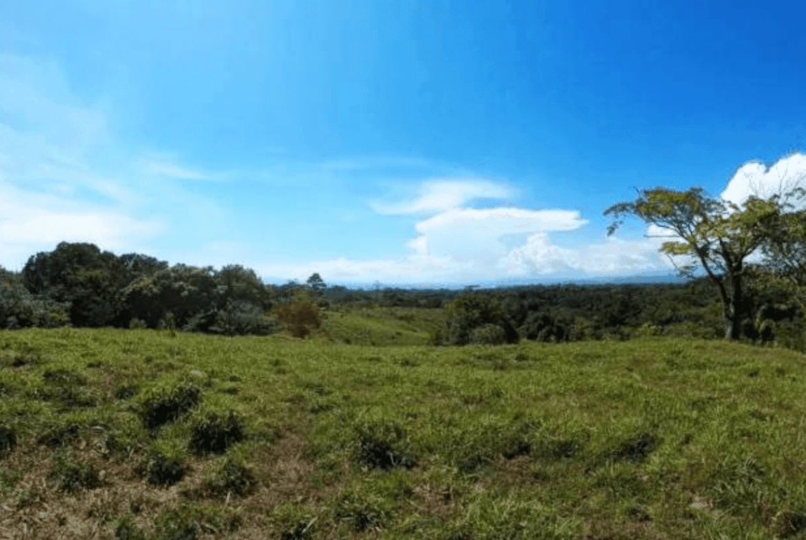 Screenshot 2024-06-21 at 10.01.54-min