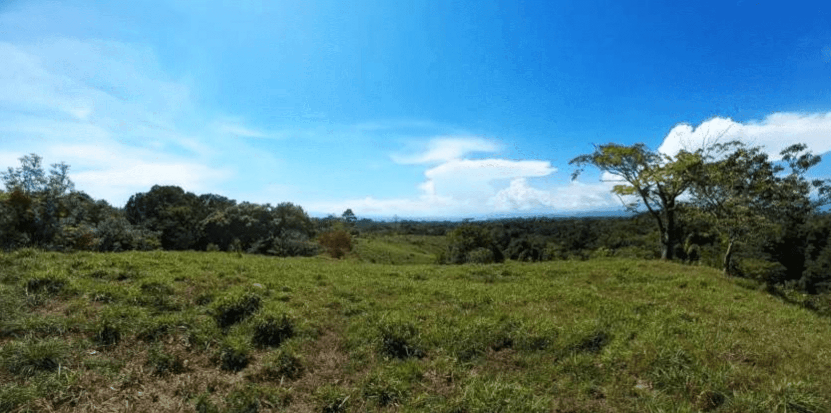 Screenshot 2024-06-21 at 10.01.54-min