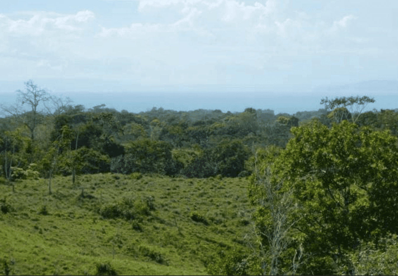 Screenshot 2024-06-21 at 10.02.03-min