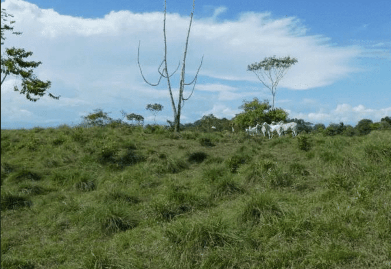 Screenshot 2024-06-21 at 10.02.10-min