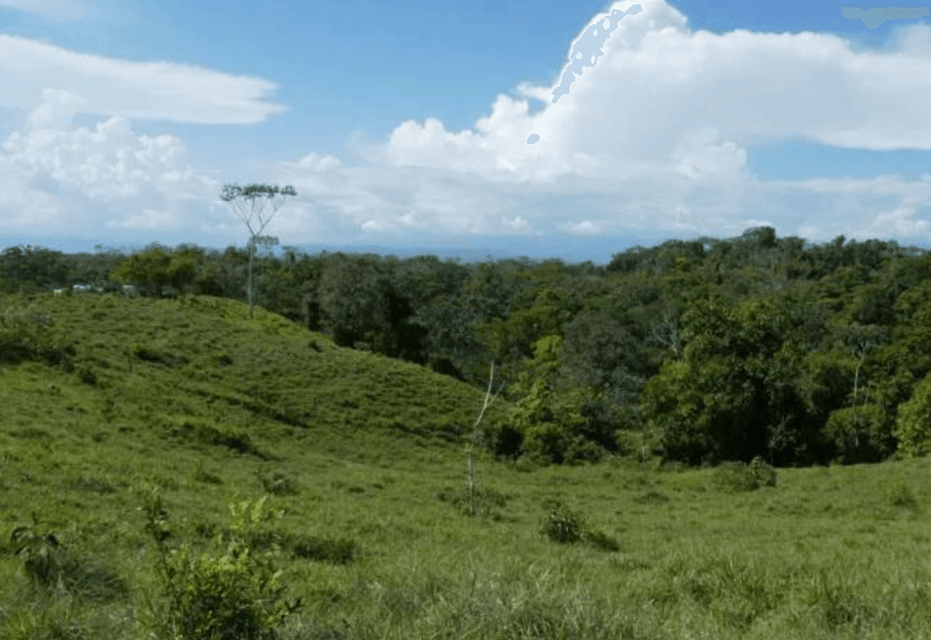 Screenshot 2024-06-21 at 10.02.18-min