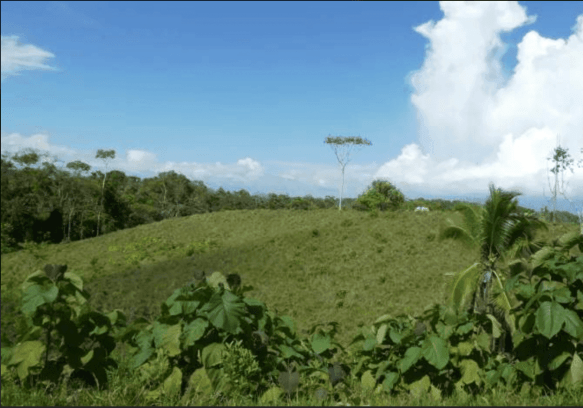 Screenshot 2024-06-21 at 10.02.28-min