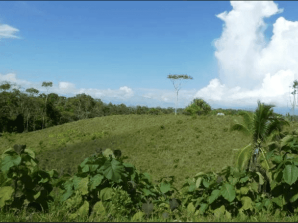 Screenshot 2024-06-21 at 10.02.28-min