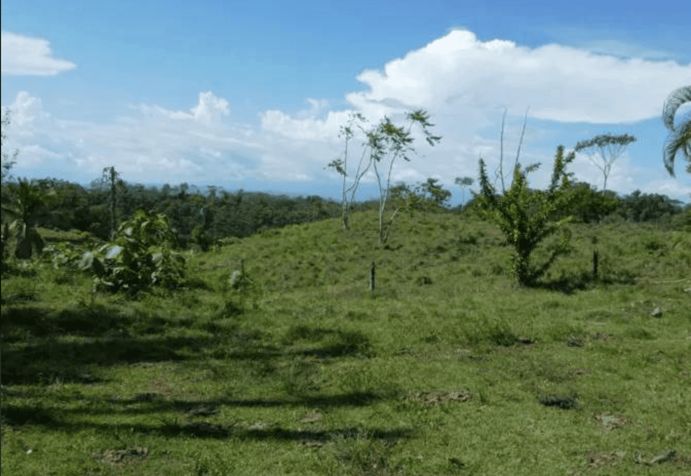 Screenshot 2024-06-21 at 10.02.34-min