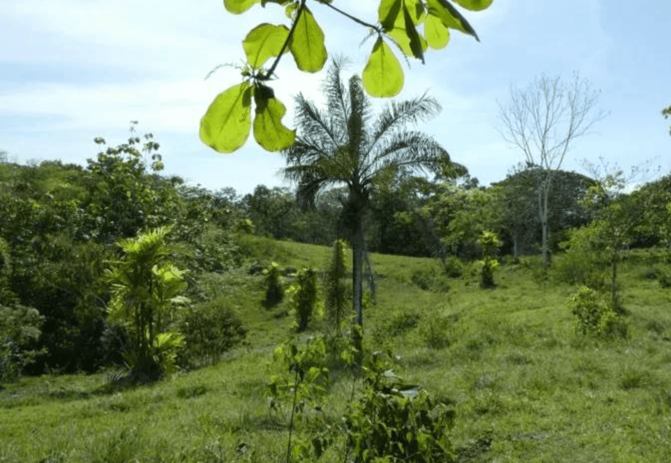 Screenshot 2024-06-21 at 10.02.40-min