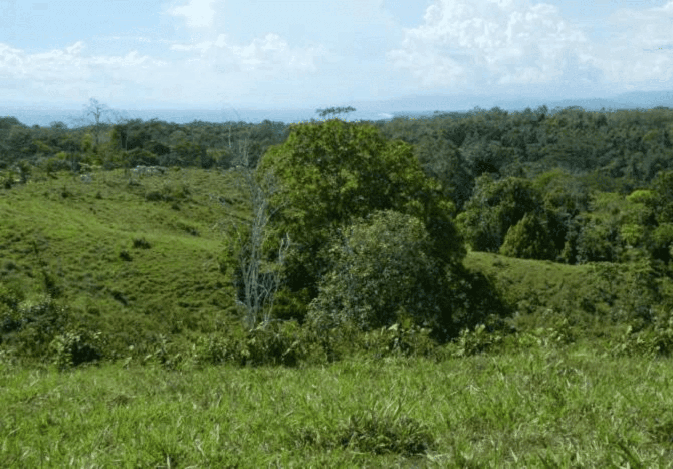 Screenshot 2024-06-21 at 10.02.52-min