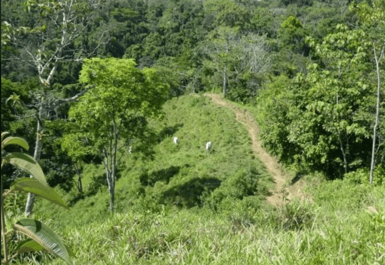 Screenshot 2024-06-21 at 10.03.18-min