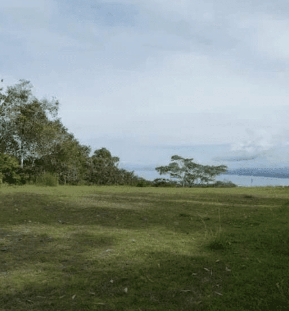 Screenshot 2024-06-21 at 10.40.35-min