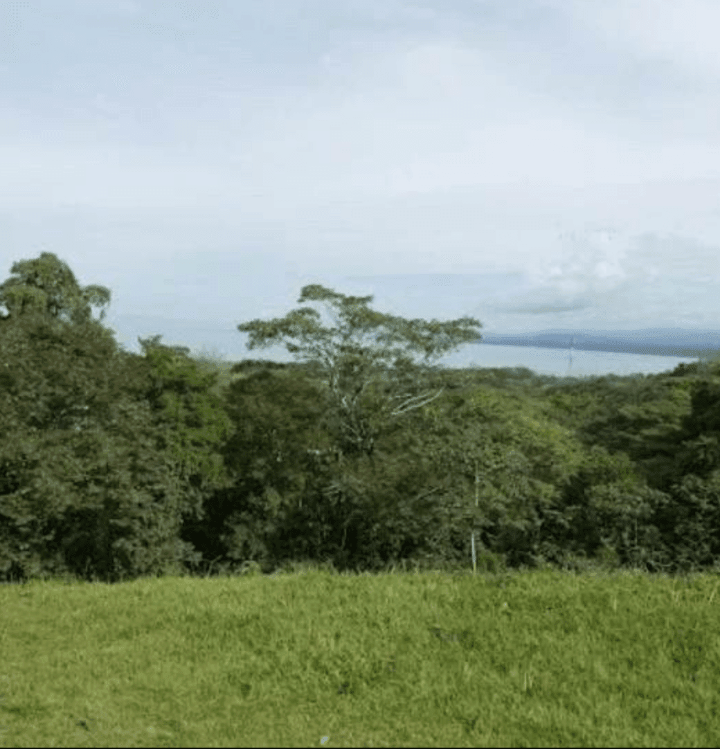 Screenshot 2024-06-21 at 10.40.42-min