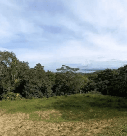 Screenshot 2024-06-21 at 10.40.57-min