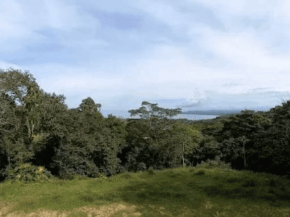 Screenshot 2024-06-21 at 10.40.57-min