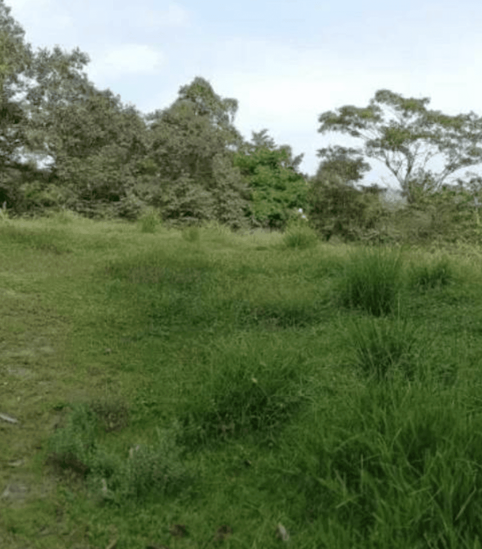 Screenshot 2024-06-21 at 10.41.03-min